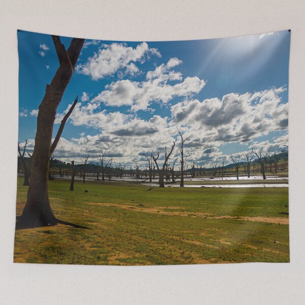 Item preview, Dead tree graveyard on the dried up bed of lake Hume with Sunbathing down designed and sold by James-Cole.