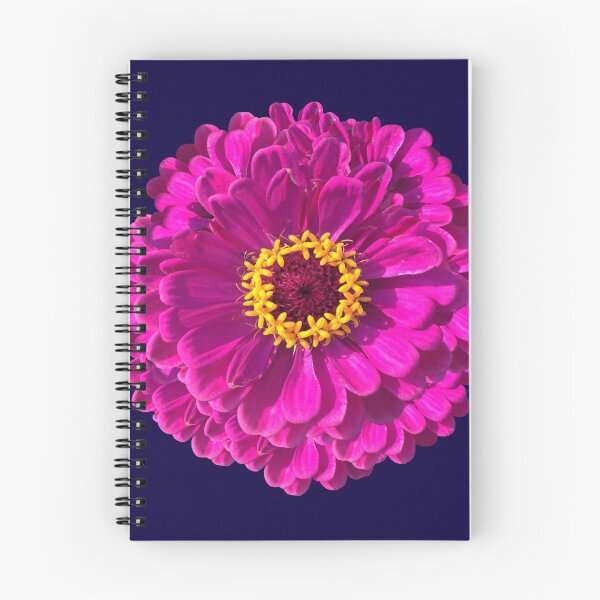 Item preview, PINK GAZANIA designed and sold by MonkeyRepublic.