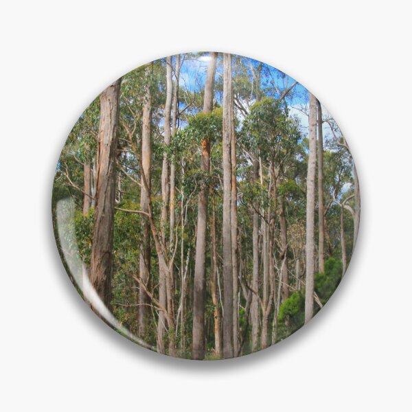 Item preview, Forest walk, Adelaide Hills, South Australia, Australia  designed and sold by FranWest.