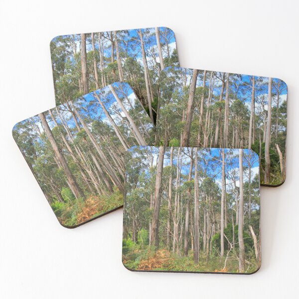 Item preview, Forest walk, Adelaide Hills, South Australia, Australia  designed and sold by FranWest.