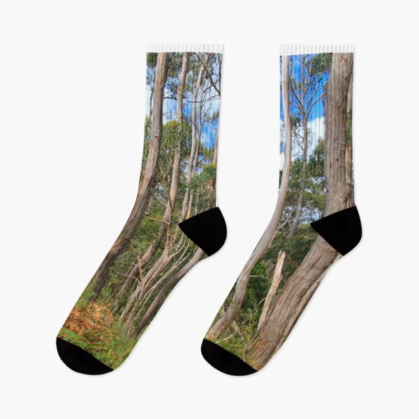 Item preview, Forest walk, Adelaide Hills, South Australia, Australia  designed and sold by FranWest.