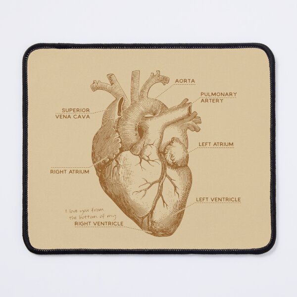 Item preview, I Love You From The Bottom of My Right Ventricle Anatomy designed and sold by Pong Lizardo.