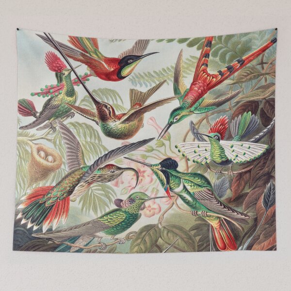 Artikelvorschau, Kolibris - Ernst Haeckel entworfen und verkauft von starrylite.