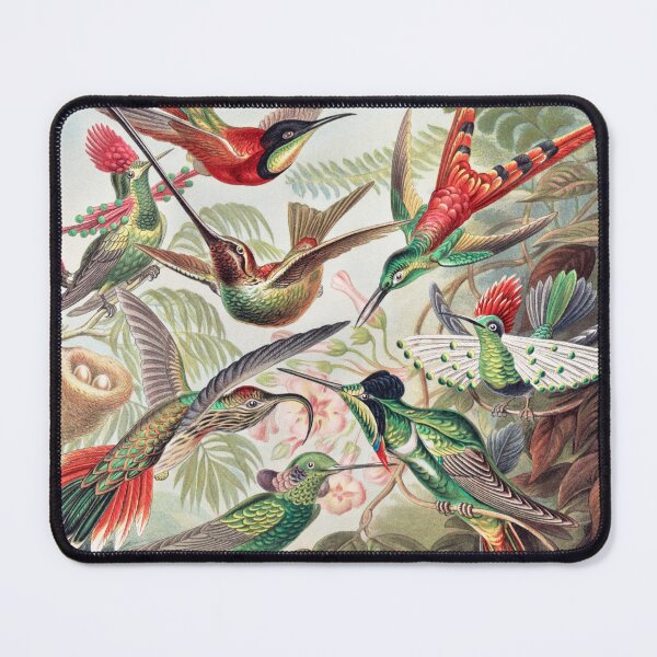 Item preview, Hummingbirds - Ernst Haeckel designed and sold by starrylite.