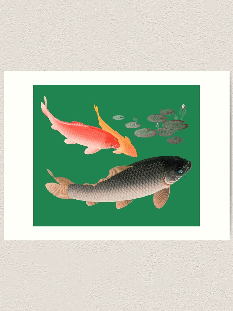 Common And Golden Carp By Ohara Koson Japanese Art Art Print