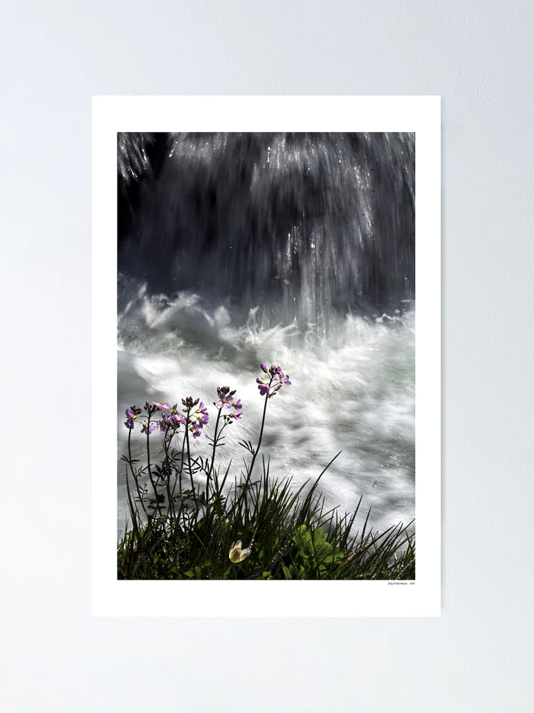 Thumbnail 1 of 3, Poster, Spring designed and sold by Jörg Holtermann.