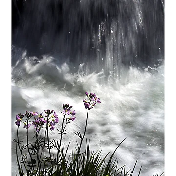 Artwork thumbnail, Spring by Jörg Holtermann