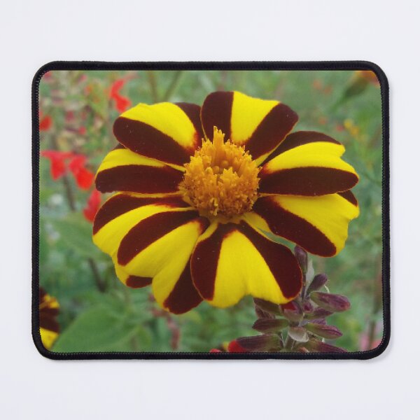 Item preview, nature, landscape, flowers designed and sold by Sternchen2789.