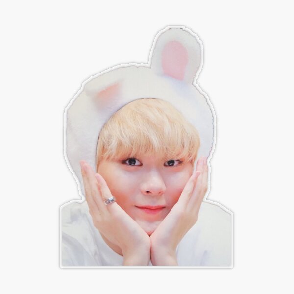スングァン SEUNGKWAN グッズ まとめ Seventeen Cute Seungkwan