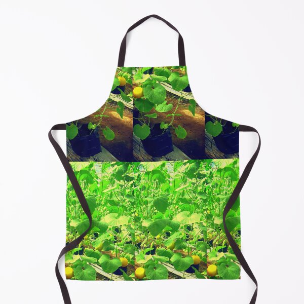 Item preview, Successful and Very Successful Melon Fruit Farmer designed and sold by CDMCustom.