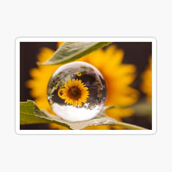 Item preview, Sunflower Sphere designed and sold by Amy Dee.