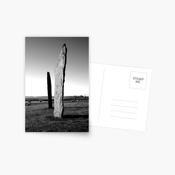 Stones of Stenness - and a few sheep Postcard