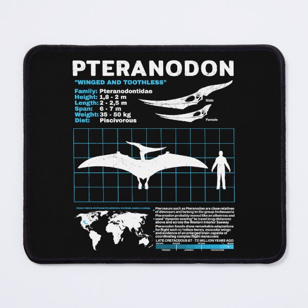 Item preview, Pteranodon datasheet designed and sold by NicGrayGraphic.