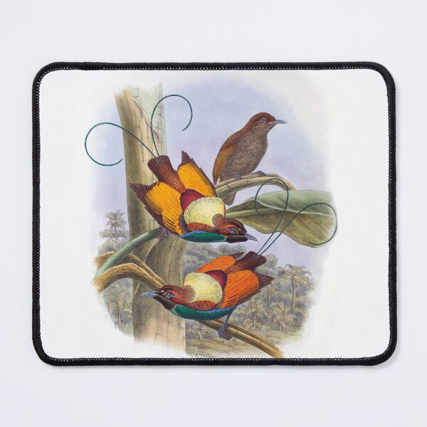 Item preview, Magnificent Bird of Paradise by W. Hart designed and sold by TheCurators.