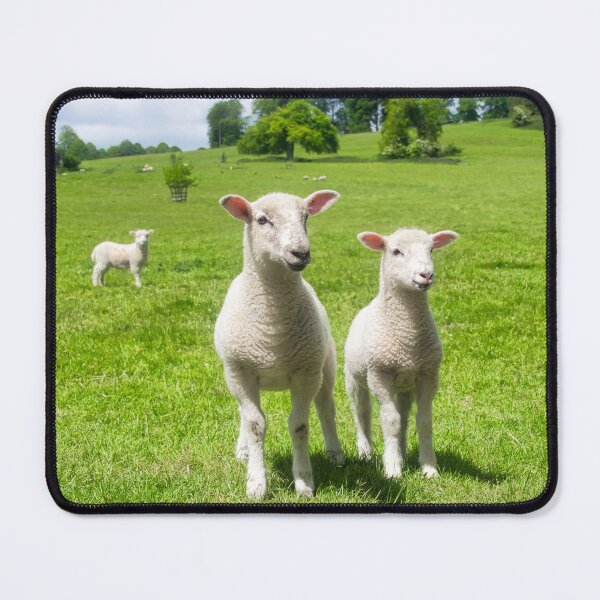 Item preview, Lambs On A Sunny Morning in Late Spring designed and sold by Dorset Girl.