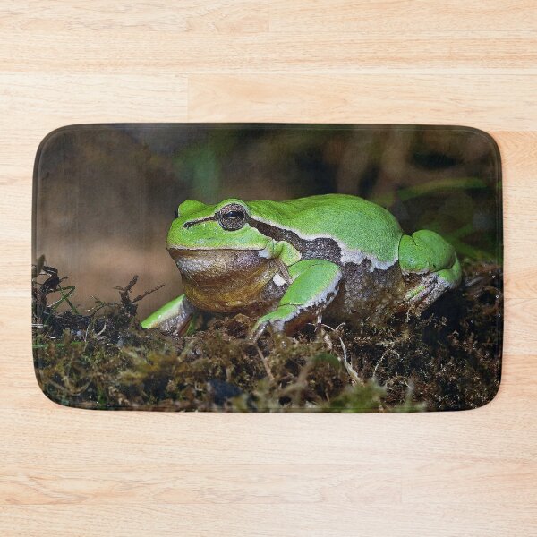 Item preview, r672/  A Kind Frog Palmé -Grenouille verte palmé  " simply life " to Okaio Créations - Olavia-Olao  designed and sold by o.okaïo.