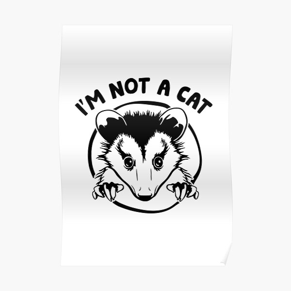 I m Not A Cat Poster For Sale By Roxburg10 Redbubble i-m-not-a-cat-poster-for-sale-by-roxburg10-redbubble