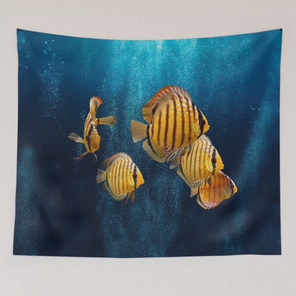 Item preview, WILD DISCUS FISH designed and sold by Danicus666.