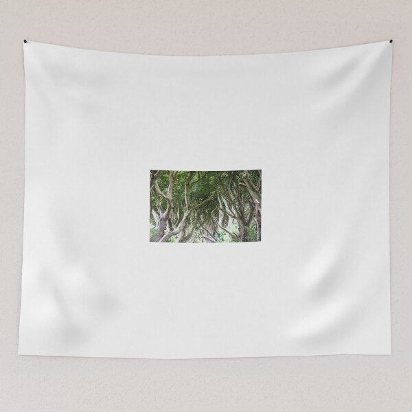 Item preview, magical forest designed and sold by ssviluppo.