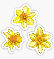 Daffodil Stickers | Redbubble