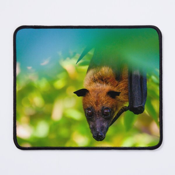 Item preview, Cute Fruit Bat designed and sold by photobytableau.
