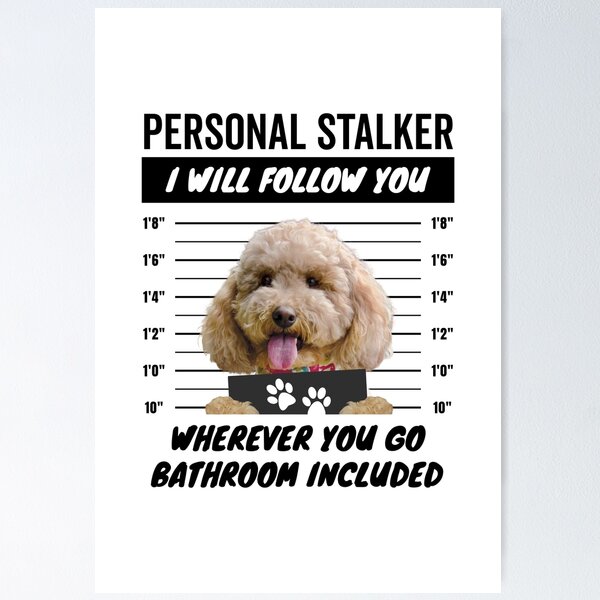 Item preview, Personal Stalker Dog – Apricot Cockapoo designed and sold by More Cute Dogs.
