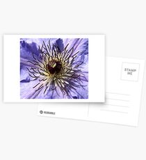 Clematis Postcards