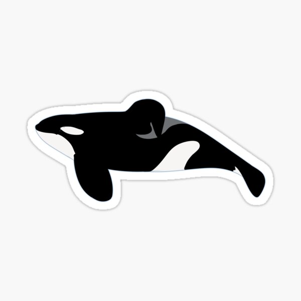 Tilikum Stickers | Redbubble