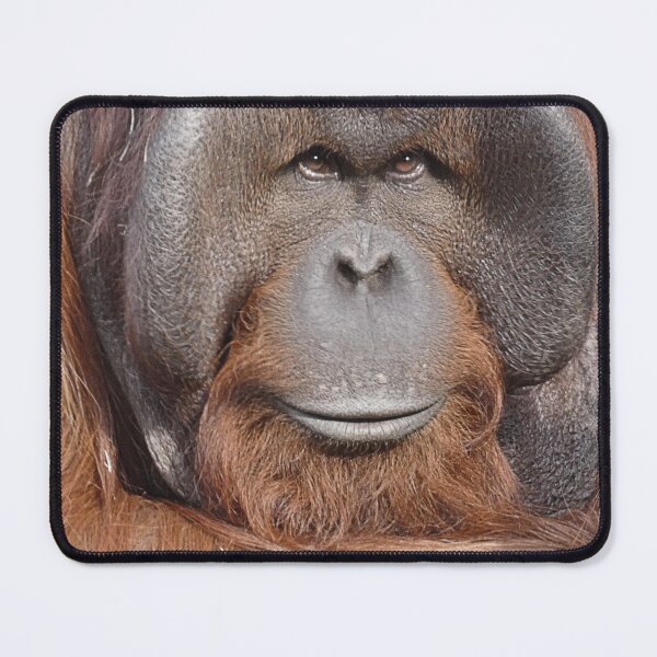 Item preview, Male Bornean Orang Utan designed and sold by Bluelizzy.