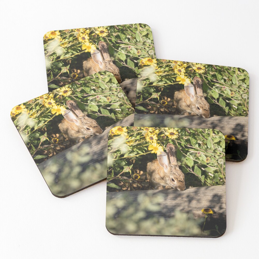Item preview, Coasters (Set of 4) designed and sold by DARRINSWORK.