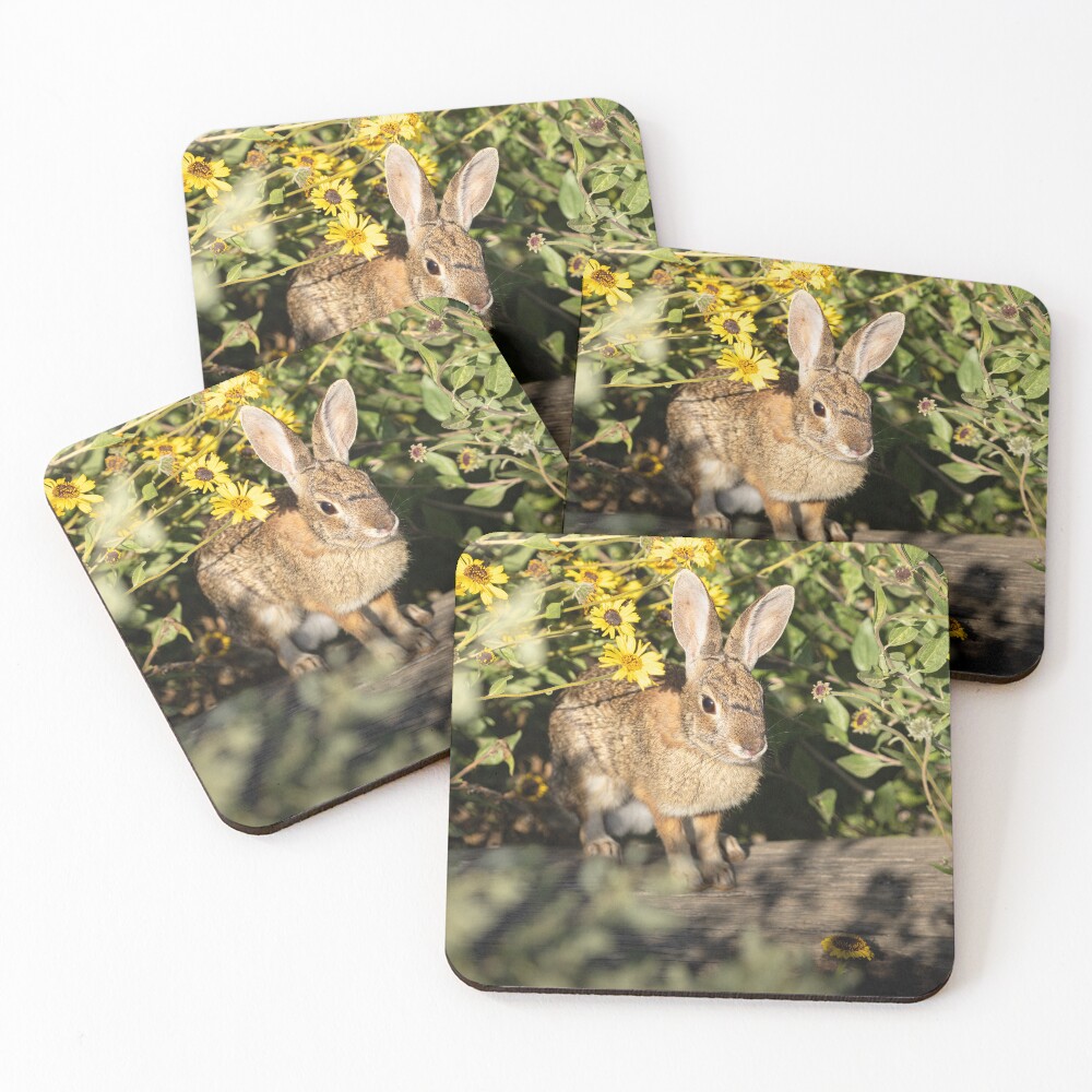 Item preview, Coasters (Set of 4) designed and sold by DARRINSWORK.