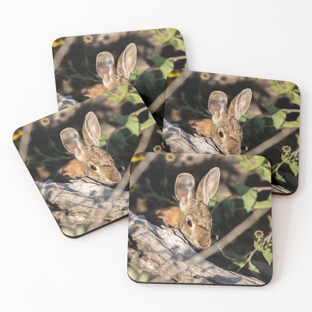 Item preview, Coasters (Set of 4) designed and sold by DARRINSWORK.