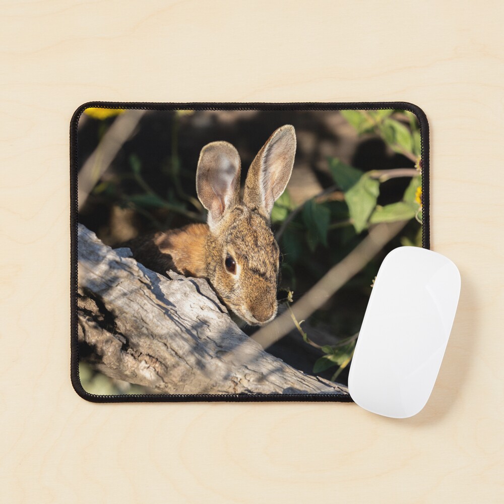 Item preview, Mouse Pad designed and sold by DARRINSWORK.