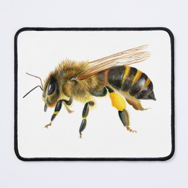 Item preview, Honey Bee Insect Watercolor Painting Wildlife Artwork designed and sold by Alison Langridge.