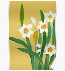 Daffodils from Amphai Poster