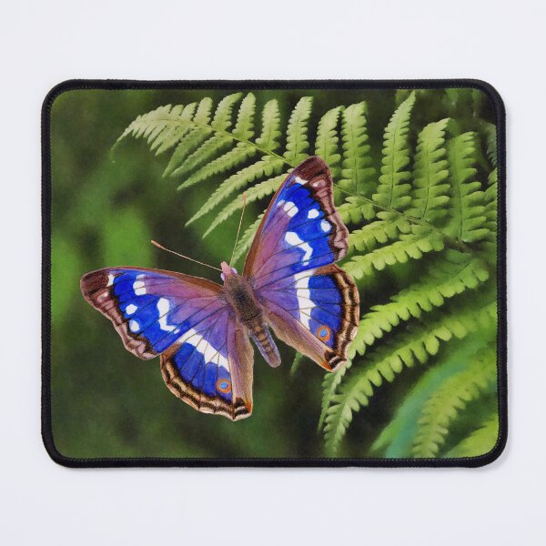 Item preview, Purple Emperor Butterfly Watercolor Painting Wildlife Artwork designed and sold by Alison Langridge.