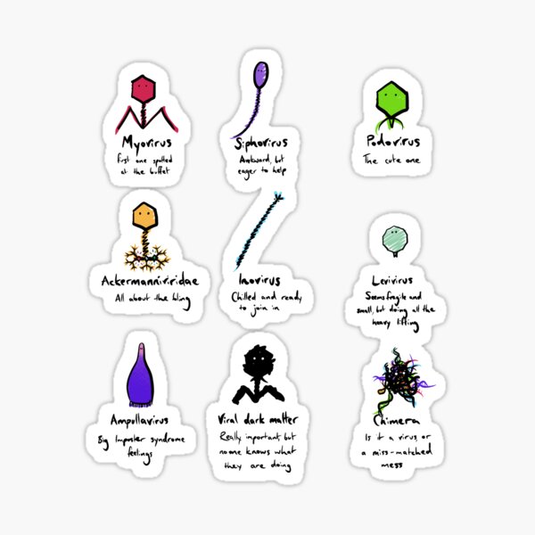 Item preview, Which phage are you? designed and sold by Jellie.