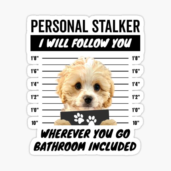 Item preview, Personal Stalker Dog – Cavoodle designed and sold by More Cute Dogs.