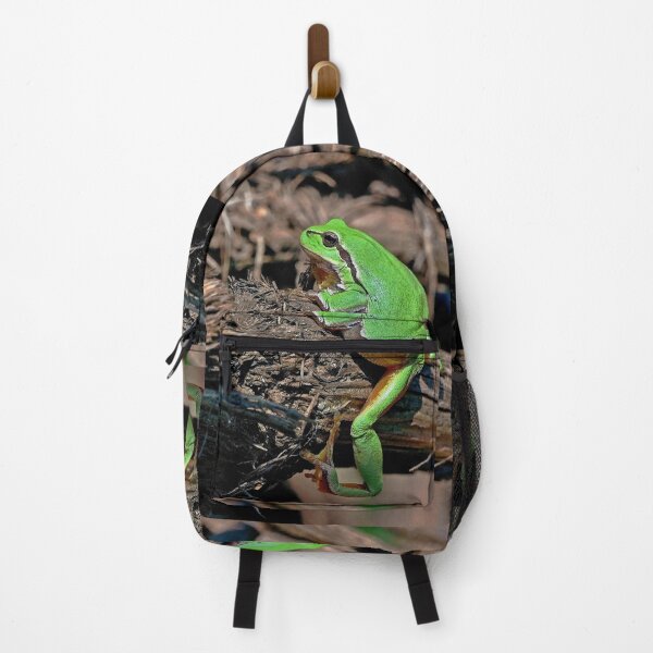 Item preview, r670/ A Kind Frog Palmé -Grenouille verte palmé " simply life " to Okaio Créations - Olavia-Olao designed and sold by o.okaïo.