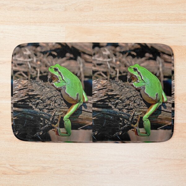 Item preview, r670/ A Kind Frog Palmé -Grenouille verte palmé  " simply life " to Okaio Créations - Olavia-Olao  designed and sold by o.okaïo.