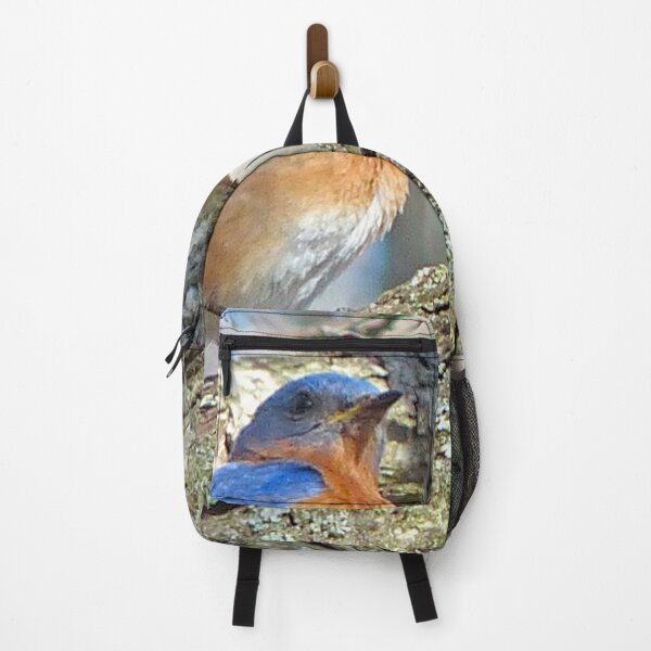 Item preview, Bluebird designed and sold by Frankie Cat Photography.