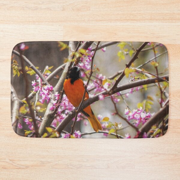 Item preview, Baltimore Oriole designed and sold by Frankie Cat Photography.