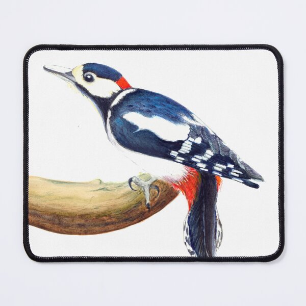 Item preview, Greater Spotted Woodpecker Watercolour Artwork Painting designed and sold by Alison Langridge.