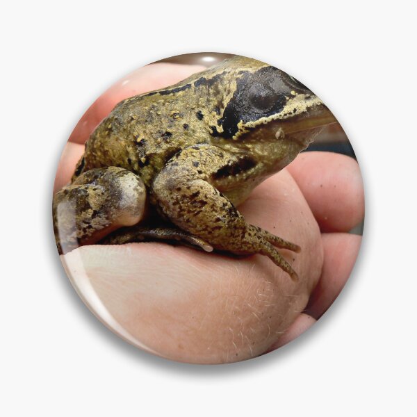 Item preview, A TOAD IN THE HOLE. designed and sold by ronsaunders47.