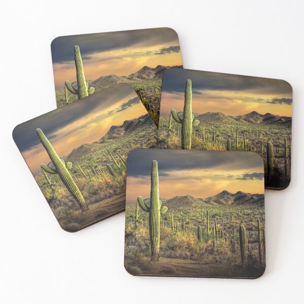 Artikelvorschau, Kakteen bei Sonnenuntergang im Saguaro National Park entworfen und verkauft von Randall Nyhof.