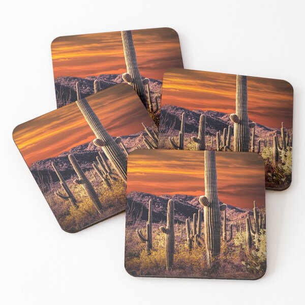 Artikelvorschau, Roter Himmel mit Saguaro-Kakteen Saguaro-Nationalpark entworfen und verkauft von Randall Nyhof.