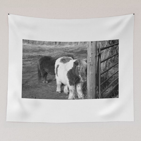 Item preview, Shetland ponies designed and sold by yackers1.
