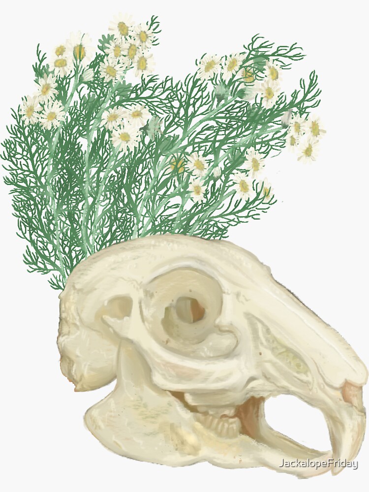 "Chamomile Rabbit Skill" Sticker by JackalopeFriday Redbubble