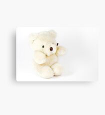 Teddy Bear Canvas Print