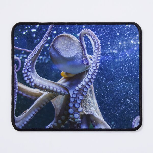 Item preview, Octopus Kraken squid in blue bubbles with tentacles and suction cups and flattened back of the head designed and sold by sopfanna.